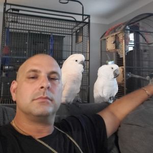 Meet your Posher, John